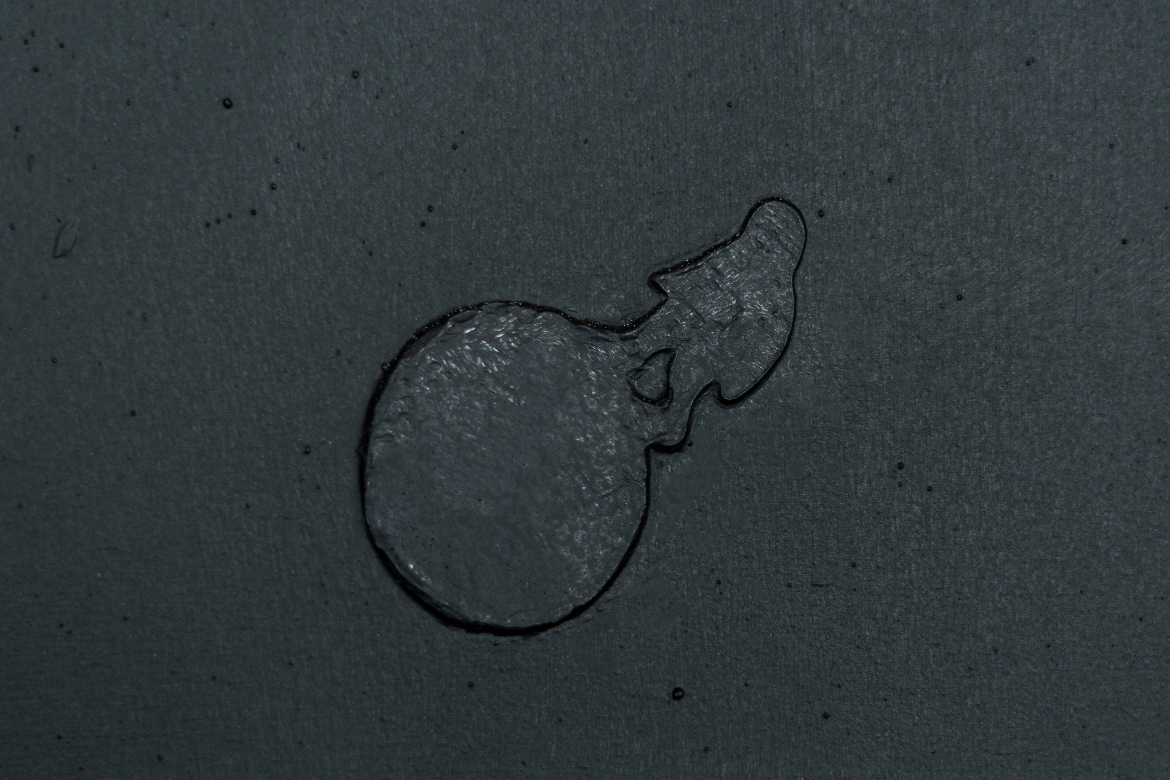 Amnesiac